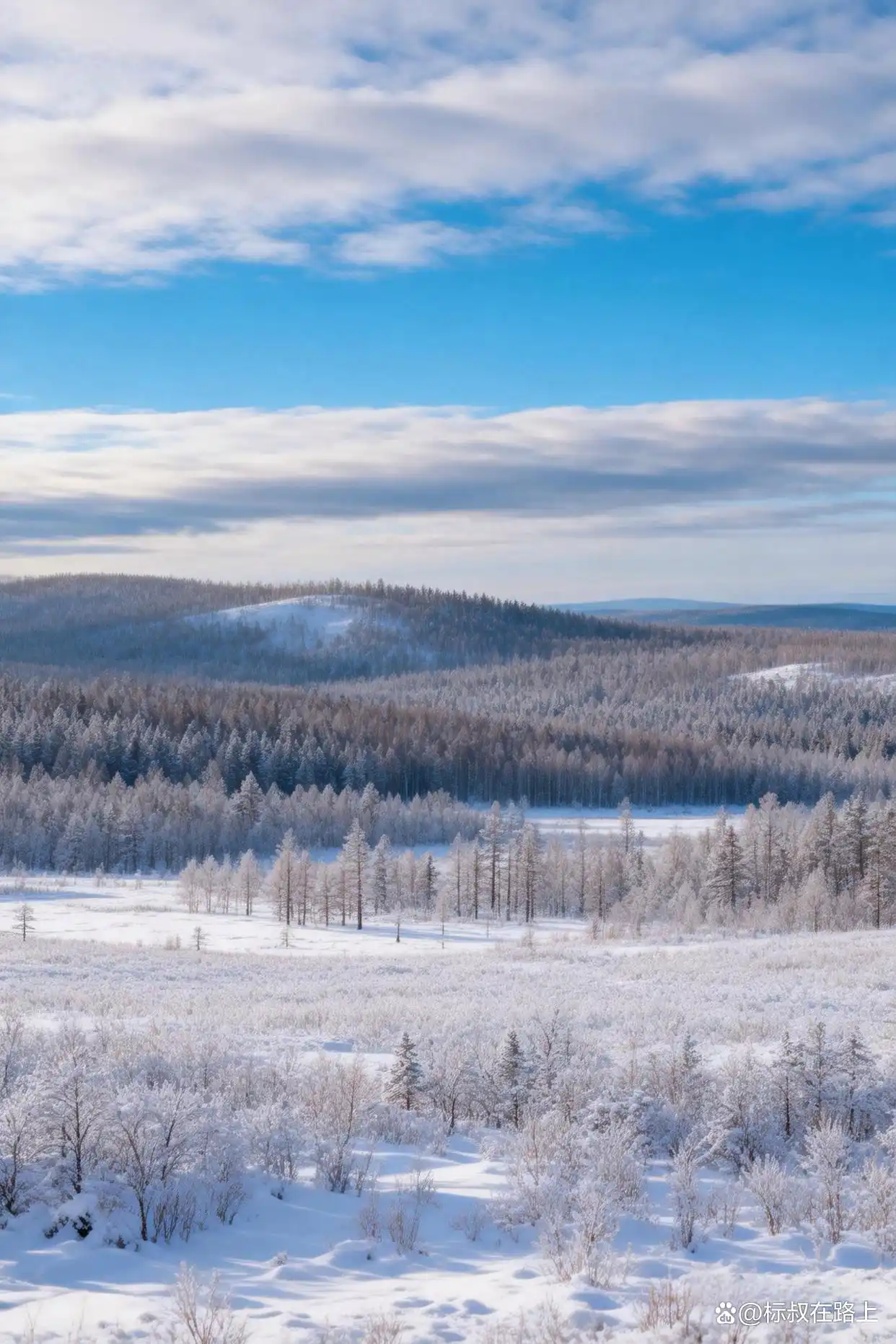 总有一个冬天，你注定要奔赴大兴安岭的冰雪之约！