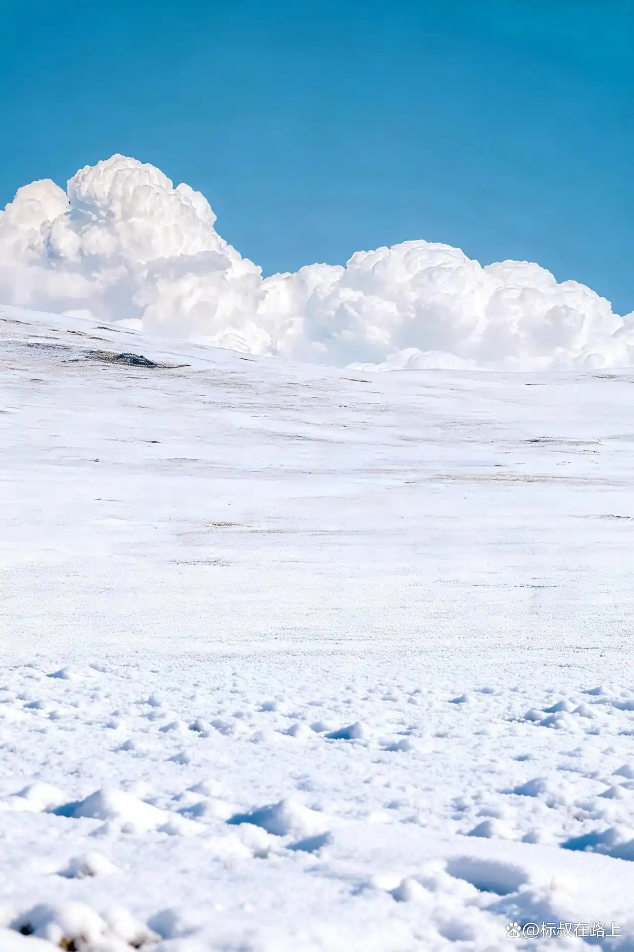总有一个冬天，你注定要奔赴大兴安岭的冰雪之约！