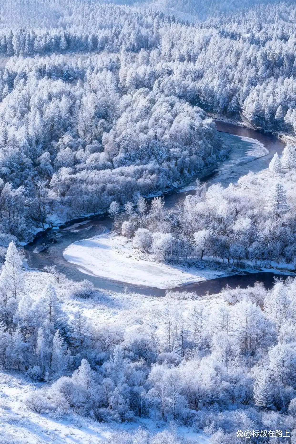 总有一个冬天，你注定要奔赴大兴安岭的冰雪之约！