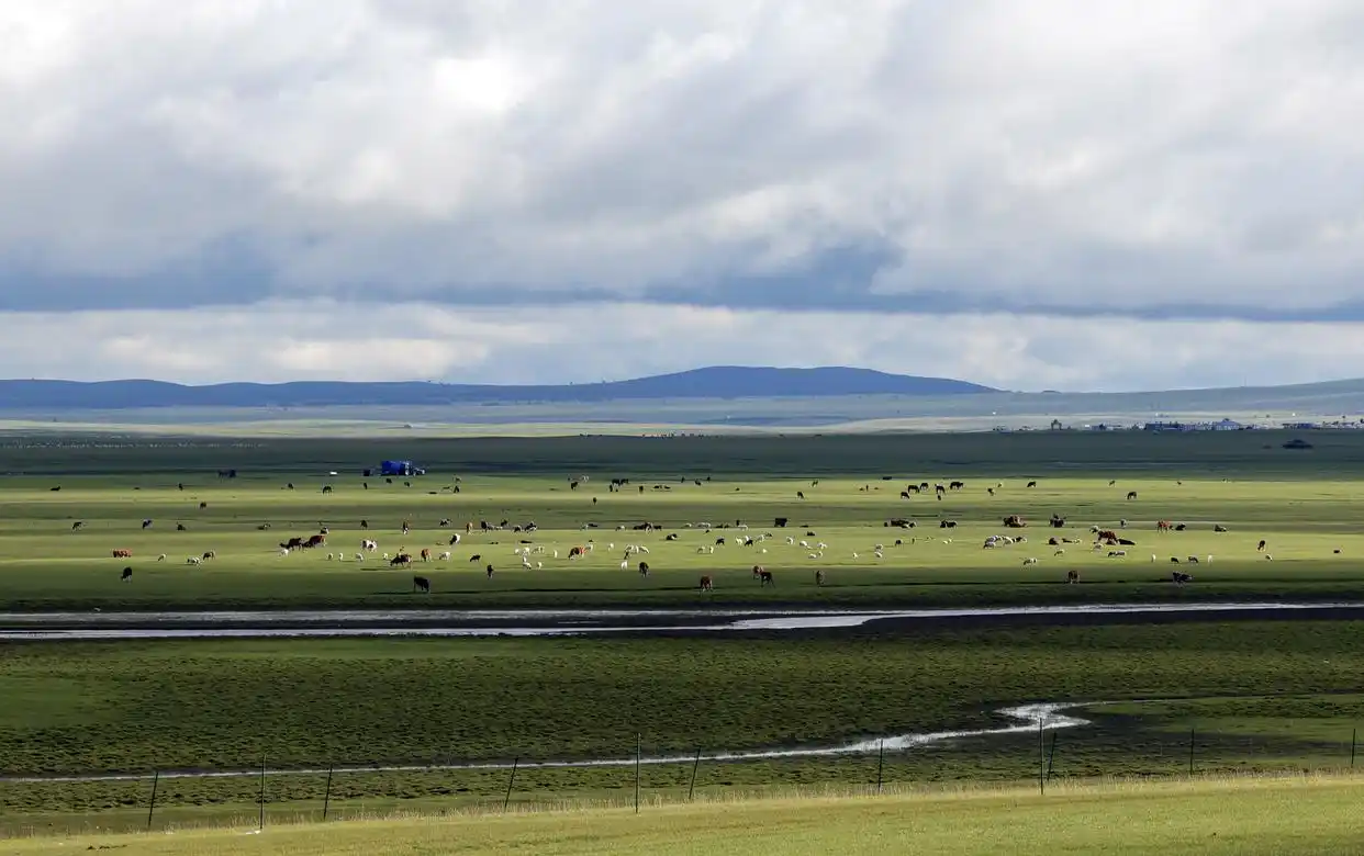 呼伦贝尔大草原的夏日美景