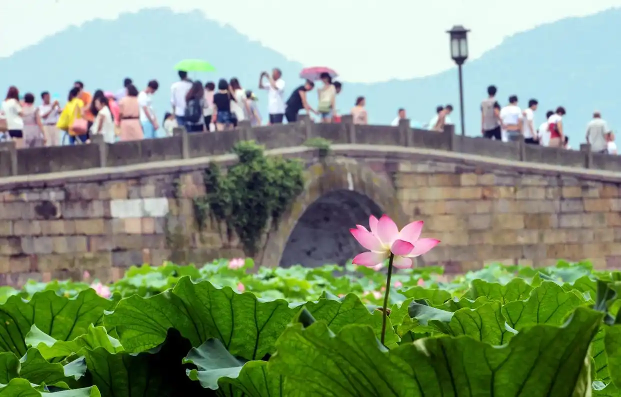 想出游的看过来！全国多地景区免门票“抢客”……