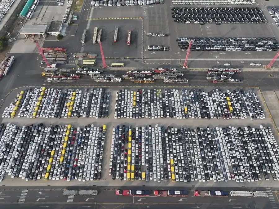 又“造船”又“运全球”，浦东新区高东镇产业升级进行时