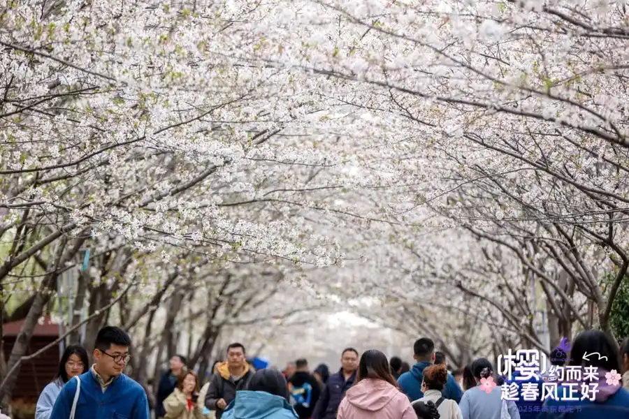 又“造船”又“运全球”，浦东新区高东镇产业升级进行时