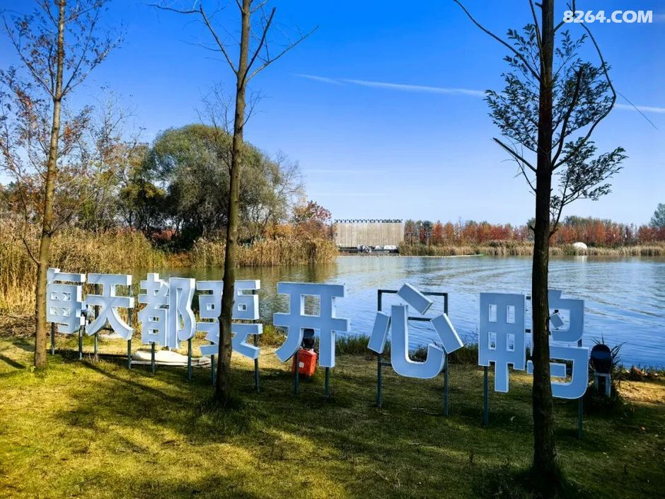 周末遛娃好去处——大圩磨滩，当帐篷支起理性消费的休闲，乡村振兴文旅该何去何从？