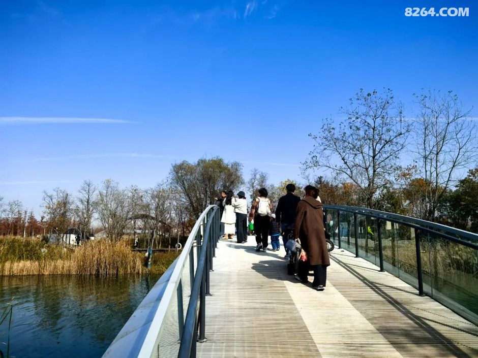 周末遛娃好去处——大圩磨滩，当帐篷支起理性消费的休闲，乡村振兴文旅该何去何从？