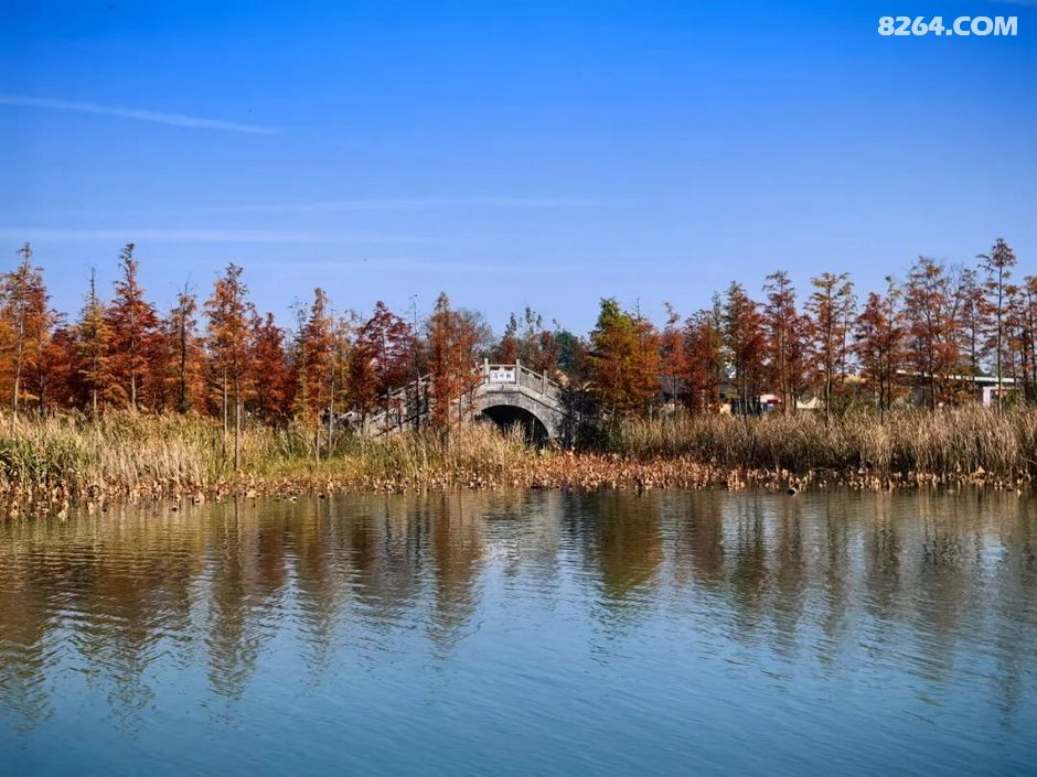 周末遛娃好去处——大圩磨滩，当帐篷支起理性消费的休闲，乡村振兴文旅该何去何从？