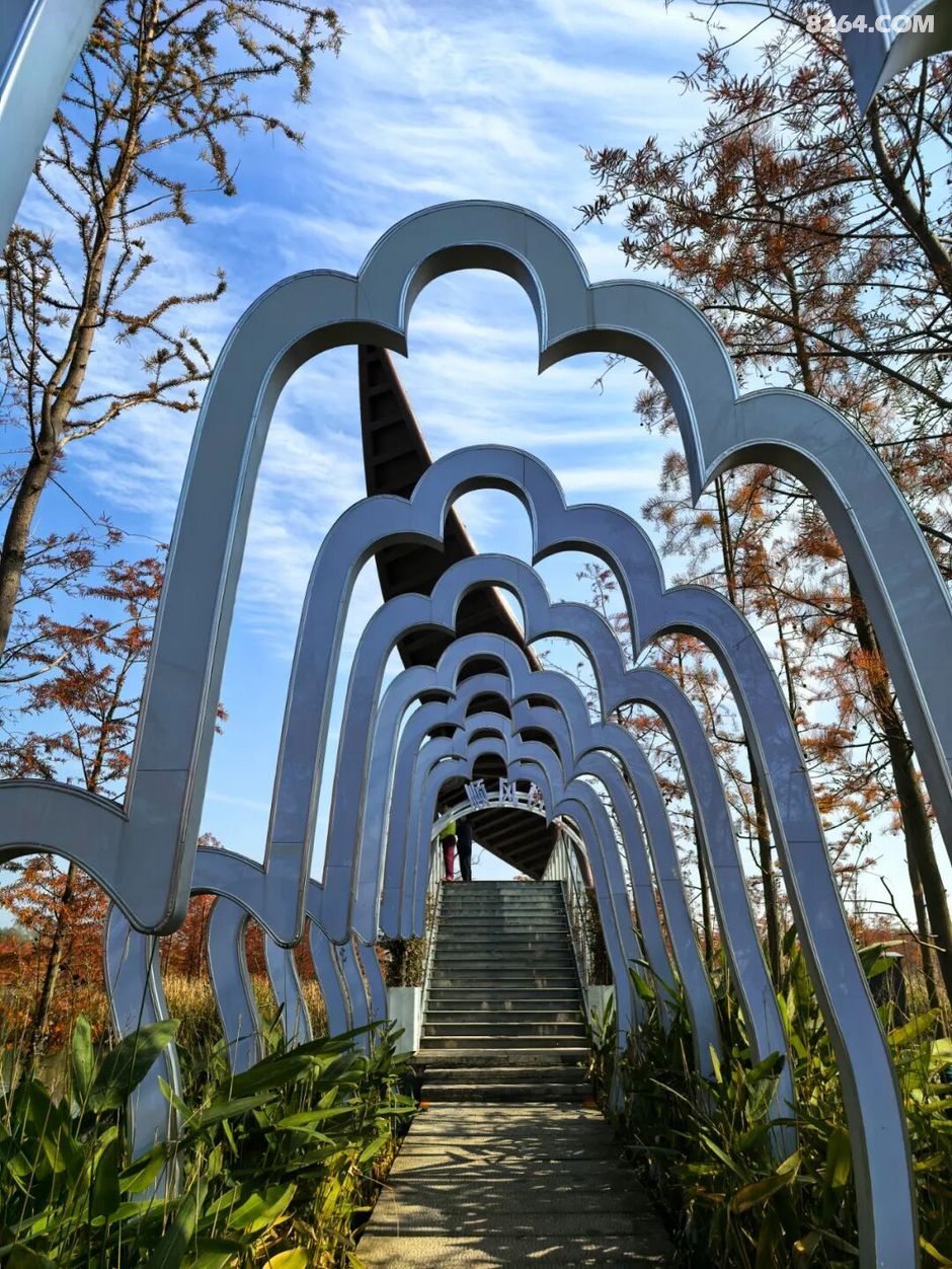 周末遛娃好去处——大圩磨滩，当帐篷支起理性消费的休闲，乡村振兴文旅该何去何从？