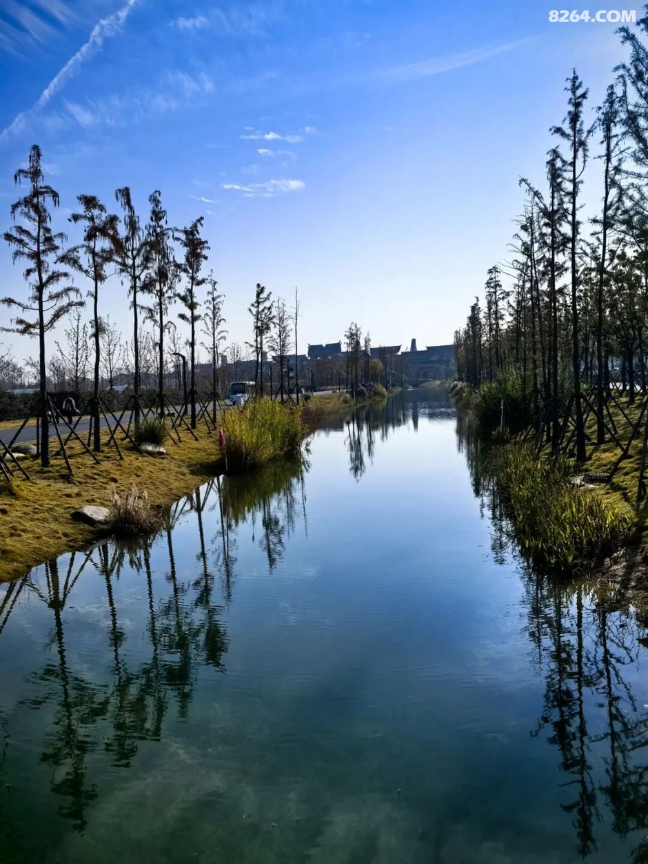 周末遛娃好去处——大圩磨滩，当帐篷支起理性消费的休闲，乡村振兴文旅该何去何从？