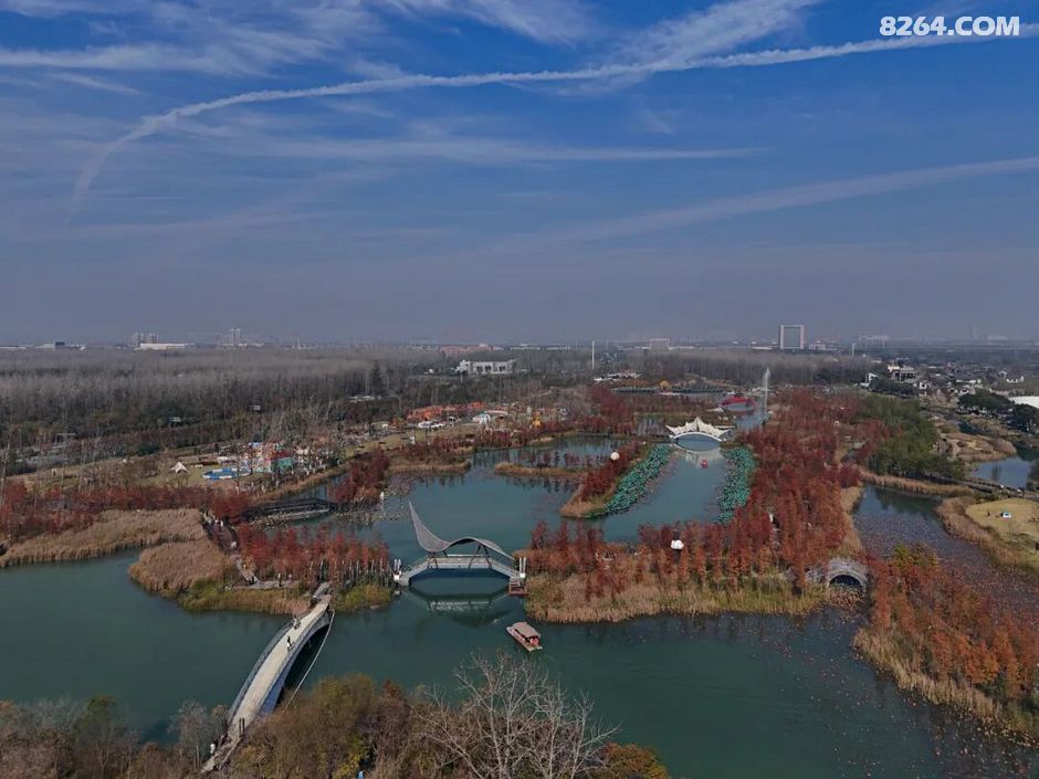 周末遛娃好去处——大圩磨滩，当帐篷支起理性消费的休闲，乡村振兴文旅该何去何从？