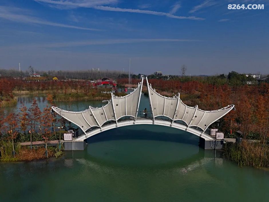 周末遛娃好去处——大圩磨滩，当帐篷支起理性消费的休闲，乡村振兴文旅该何去何从？