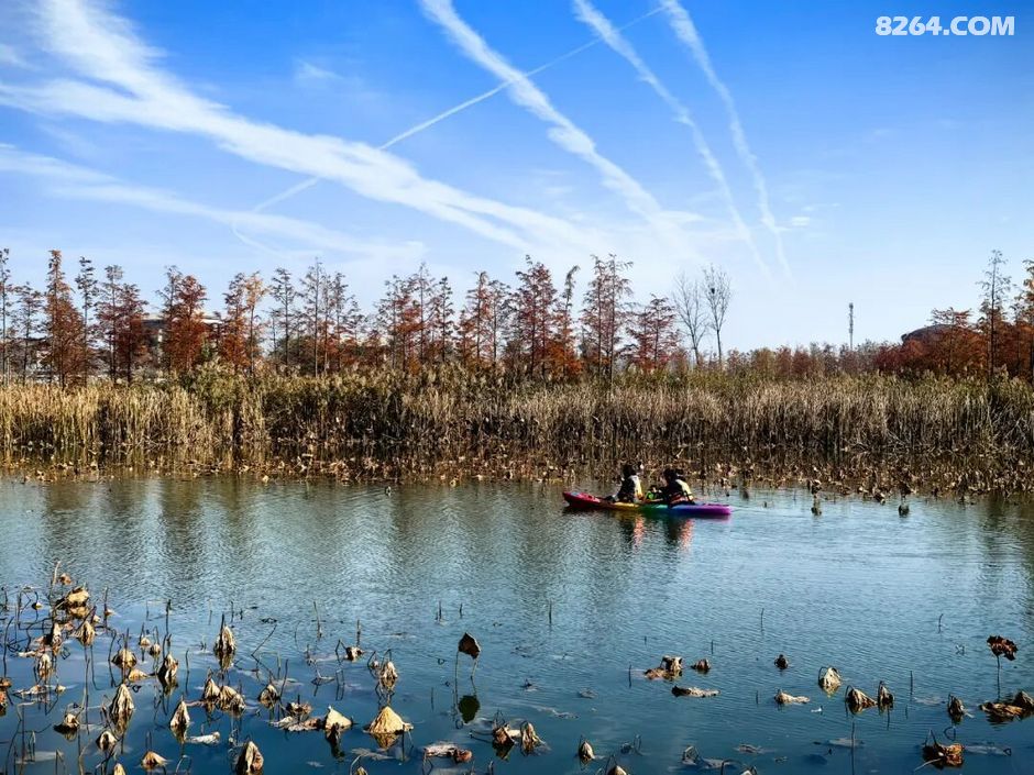 周末遛娃好去处——大圩磨滩，当帐篷支起理性消费的休闲，乡村振兴文旅该何去何从？