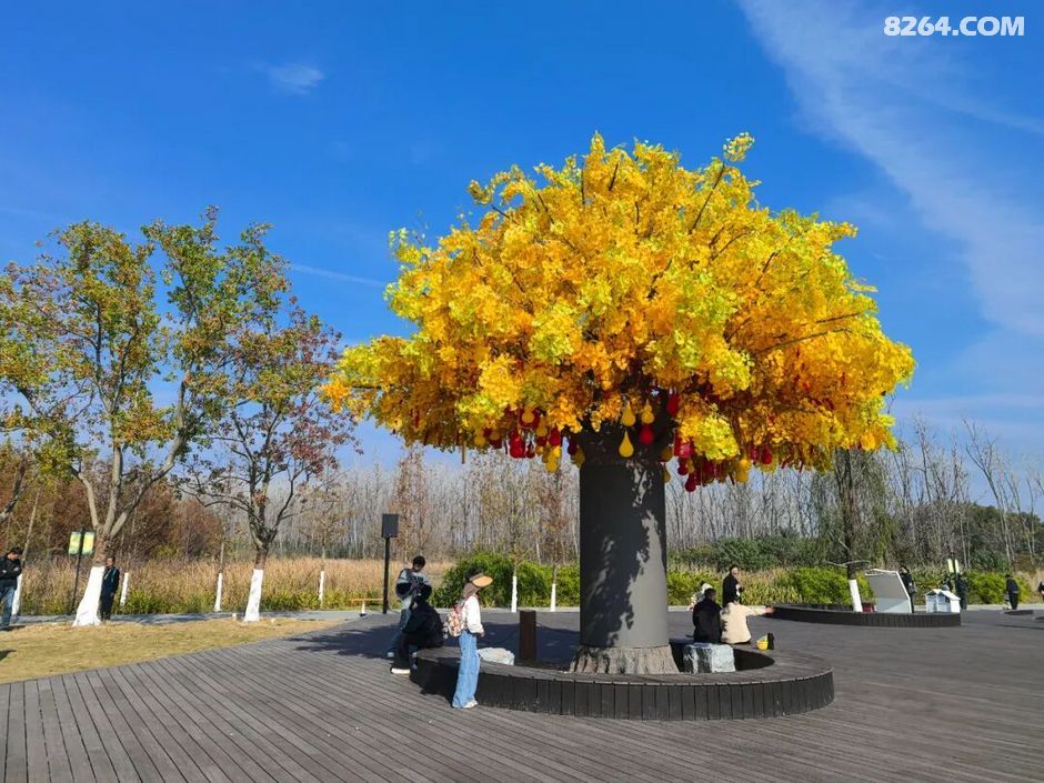 周末遛娃好去处——大圩磨滩，当帐篷支起理性消费的休闲，乡村振兴文旅该何去何从？