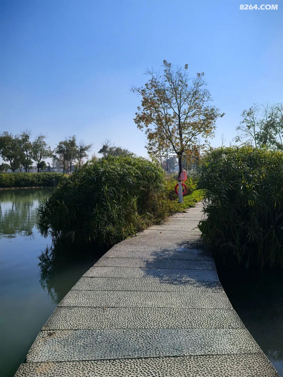 周末遛娃好去处——大圩磨滩，当帐篷支起理性消费的休闲，乡村振兴文旅该何去何从？