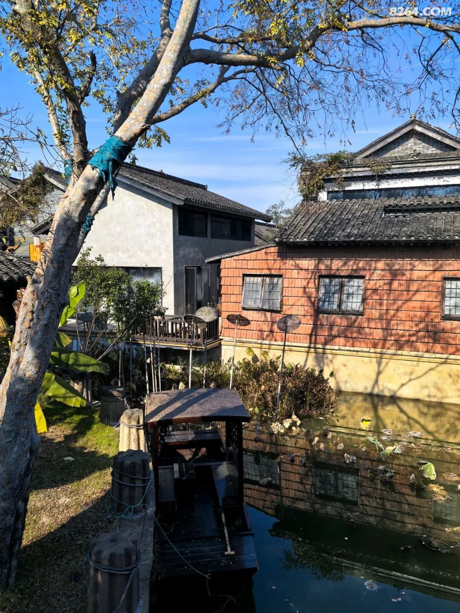 周末遛娃好去处——大圩磨滩，当帐篷支起理性消费的休闲，乡村振兴文旅该何去何从？