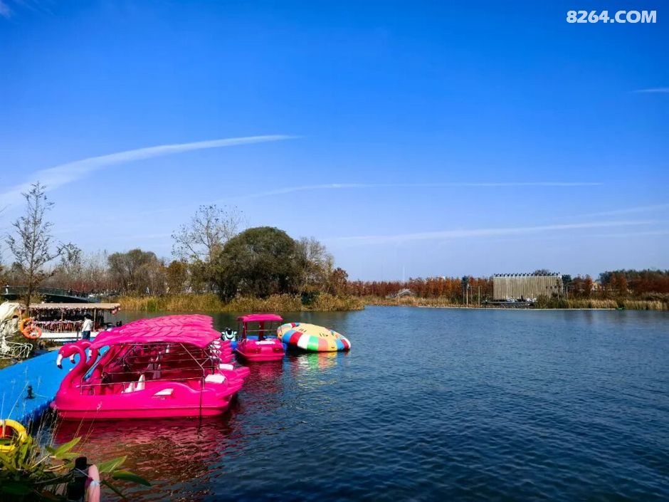 周末遛娃好去处——大圩磨滩，当帐篷支起理性消费的休闲，乡村振兴文旅该何去何从？