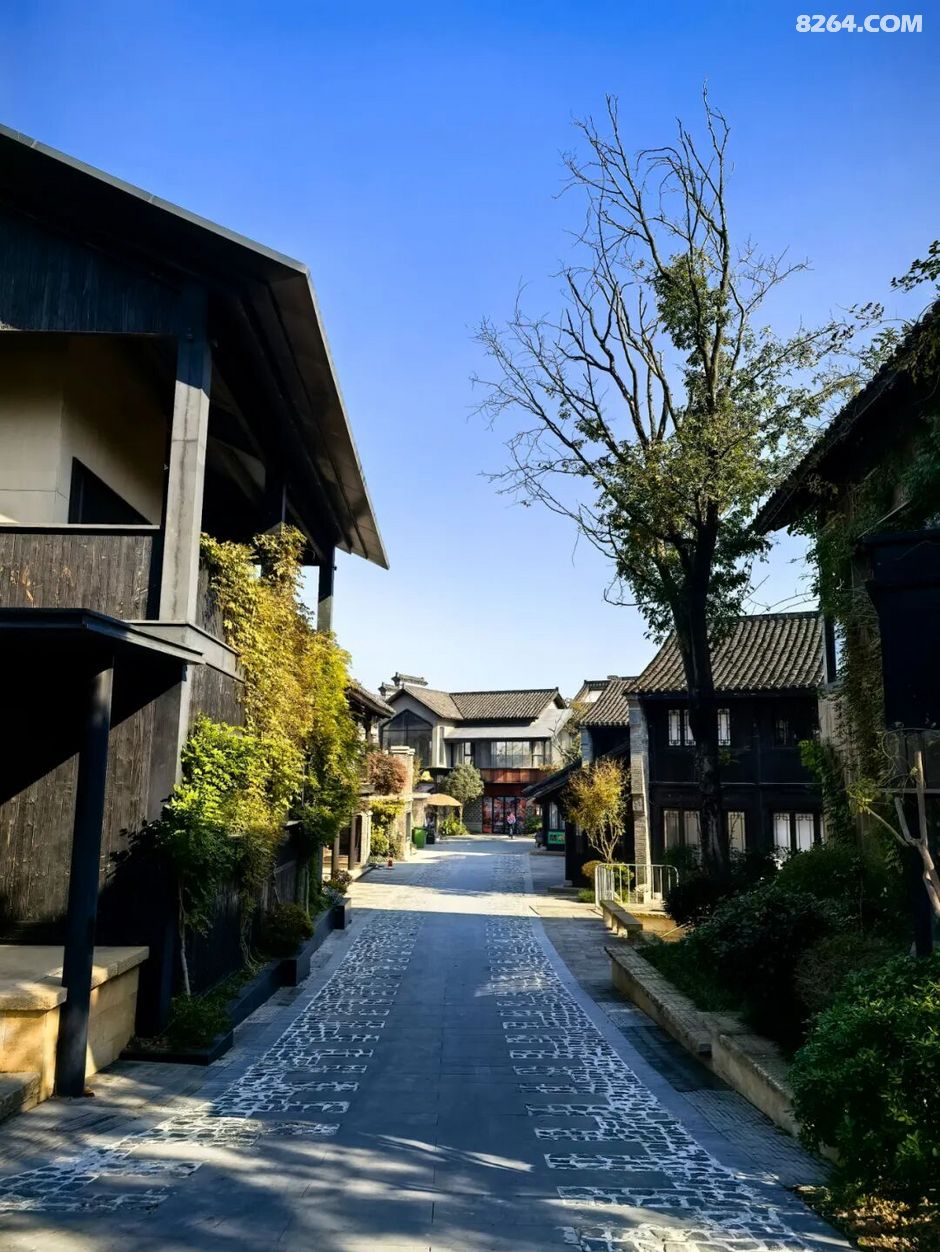 周末遛娃好去处——大圩磨滩，当帐篷支起理性消费的休闲，乡村振兴文旅该何去何从？