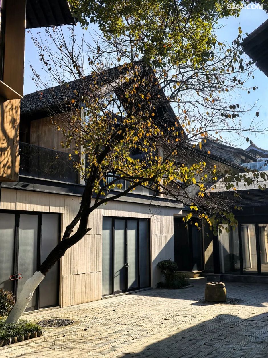 周末遛娃好去处——大圩磨滩，当帐篷支起理性消费的休闲，乡村振兴文旅该何去何从？