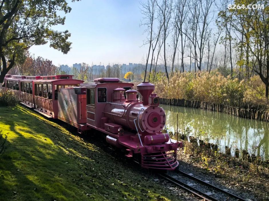 周末遛娃好去处——大圩磨滩，当帐篷支起理性消费的休闲，乡村振兴文旅该何去何从？