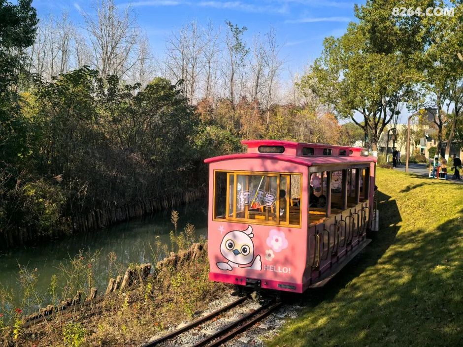 周末遛娃好去处——大圩磨滩，当帐篷支起理性消费的休闲，乡村振兴文旅该何去何从？