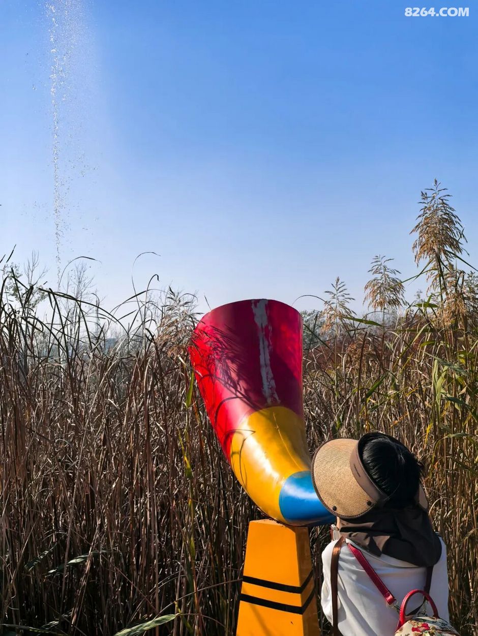 周末遛娃好去处——大圩磨滩，当帐篷支起理性消费的休闲，乡村振兴文旅该何去何从？