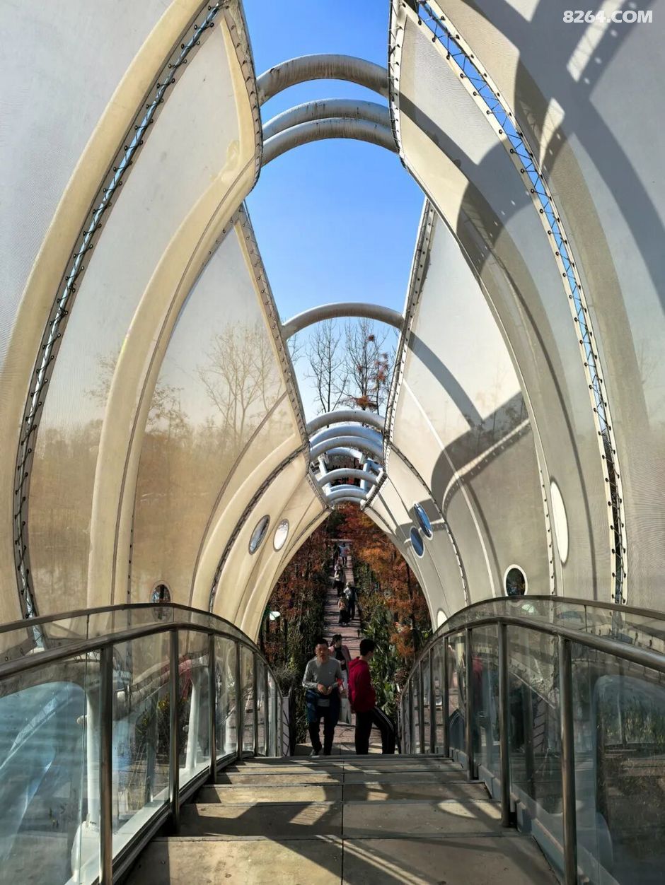 周末遛娃好去处——大圩磨滩，当帐篷支起理性消费的休闲，乡村振兴文旅该何去何从？