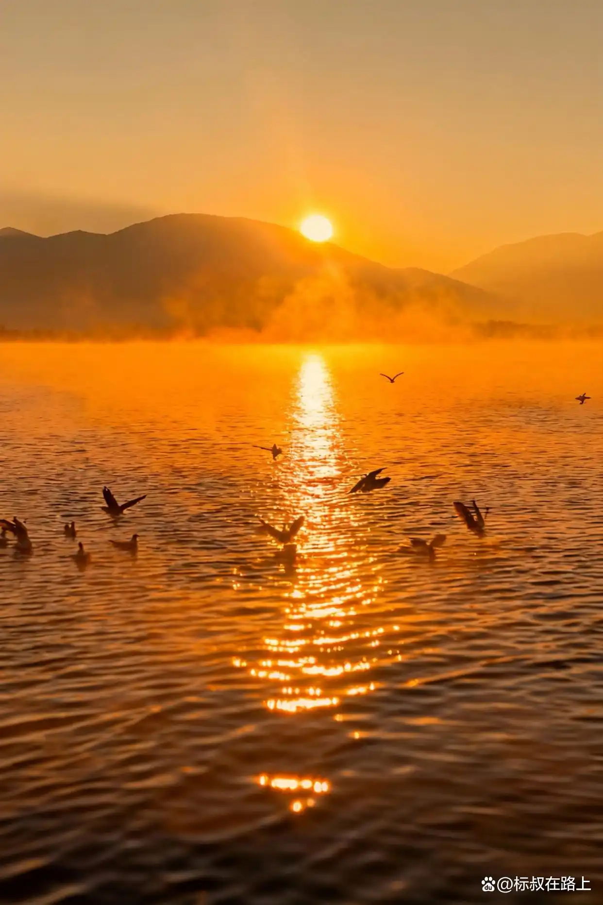 泸沽湖晨雾杀疯了！