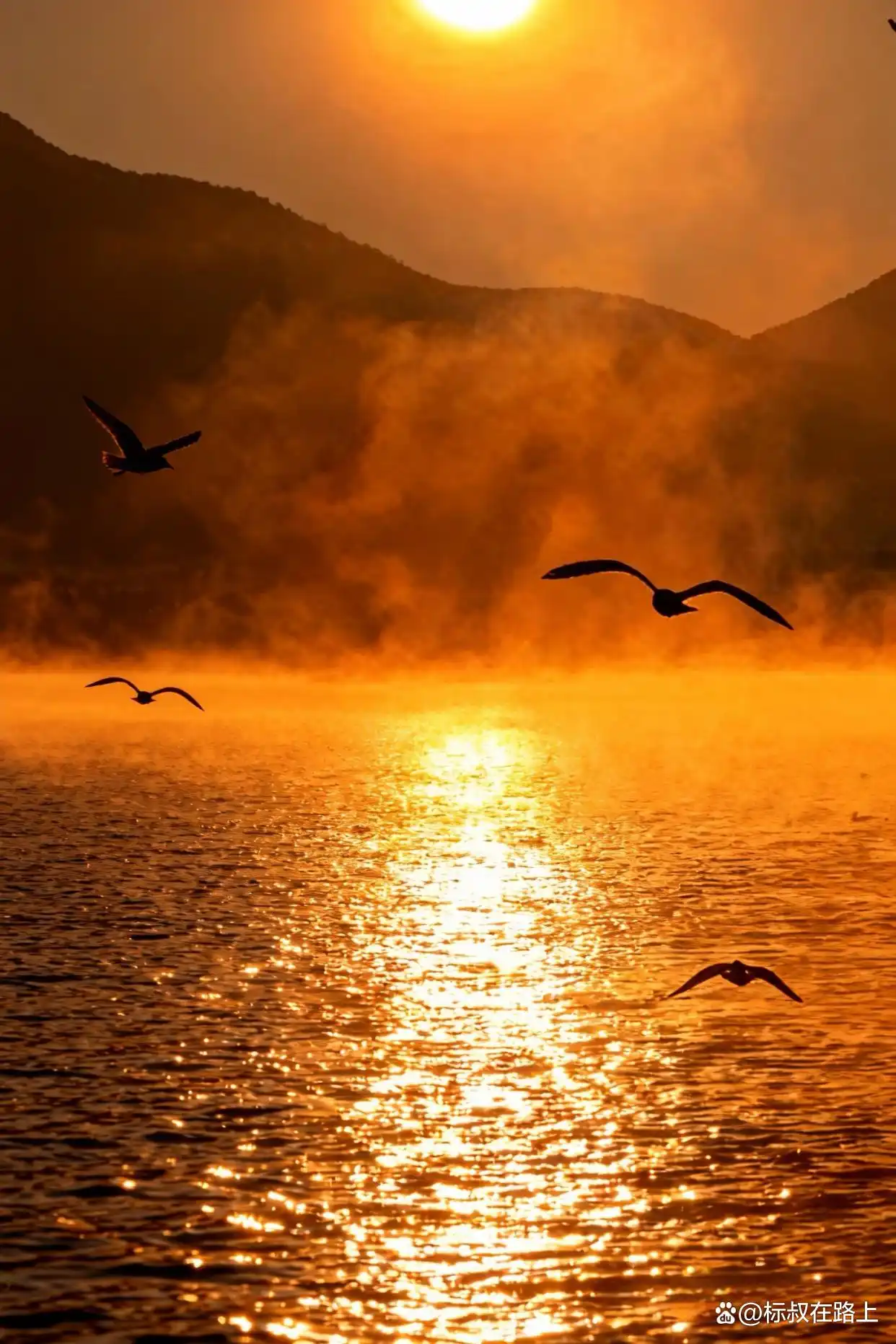 泸沽湖晨雾杀疯了！