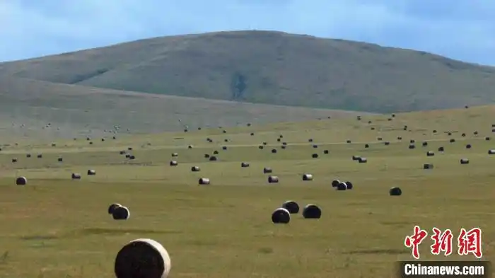 打牧草备“冬粮” 呼伦贝尔3000万亩打草场收割忙