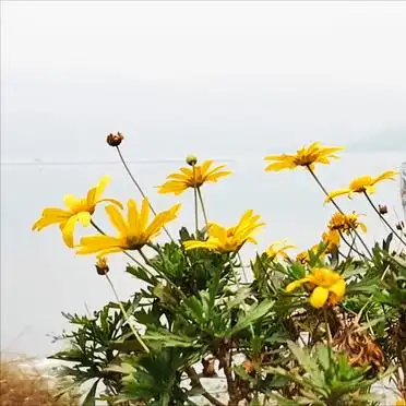 #不一样的冬天#