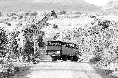 南非旅业押注新计划：2035年吸引100万中国游客