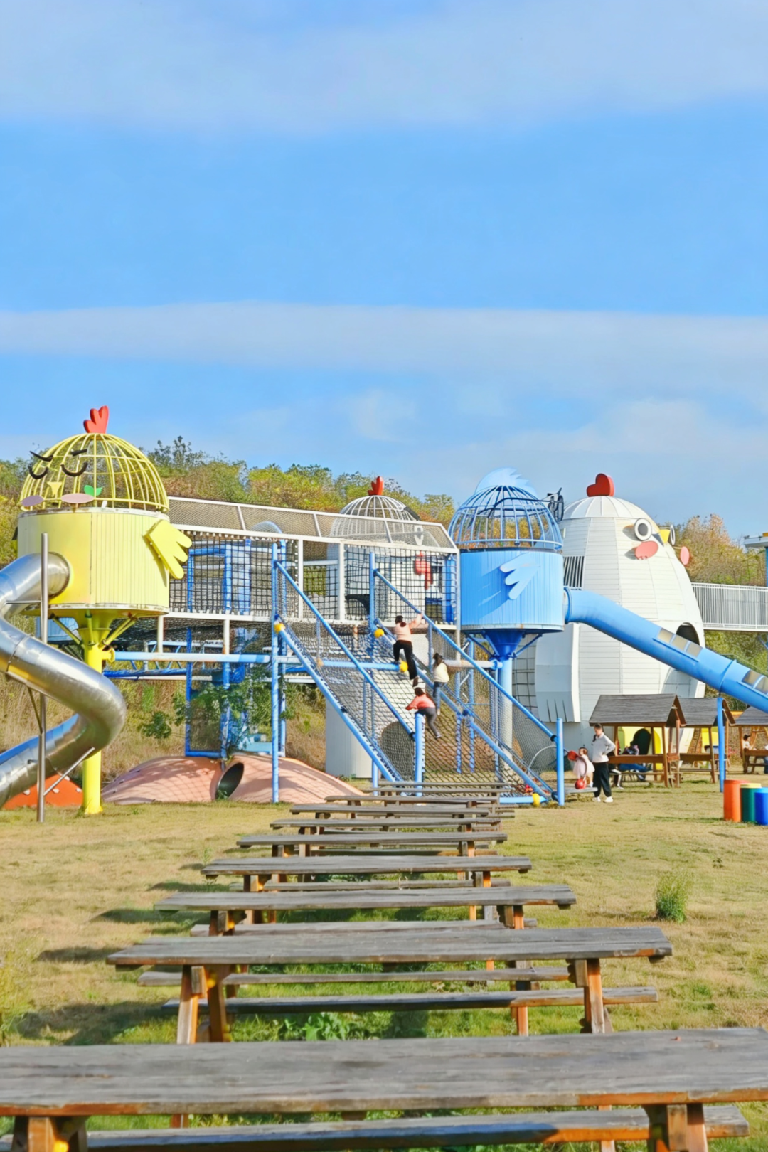 “踏雪寻梅”自由行！来黄陂，玩转大众冰雪季！