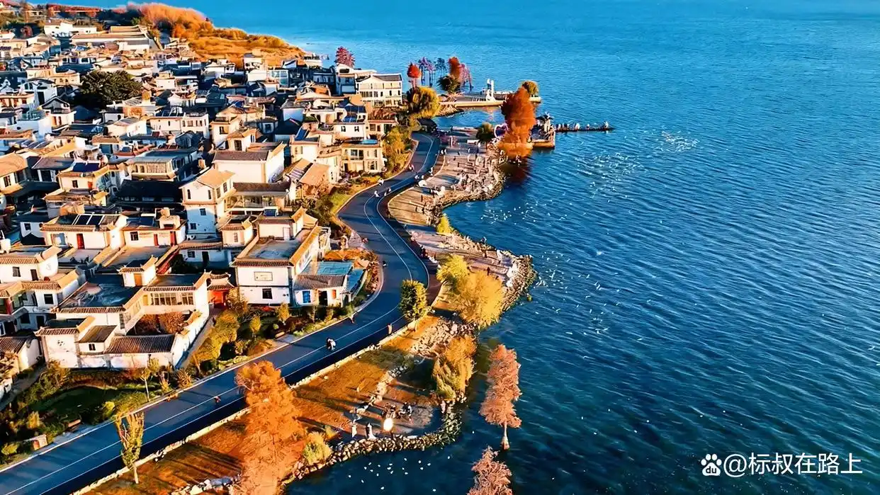 大理的冬天｜是海鸥、红杉和治愈的洱海！