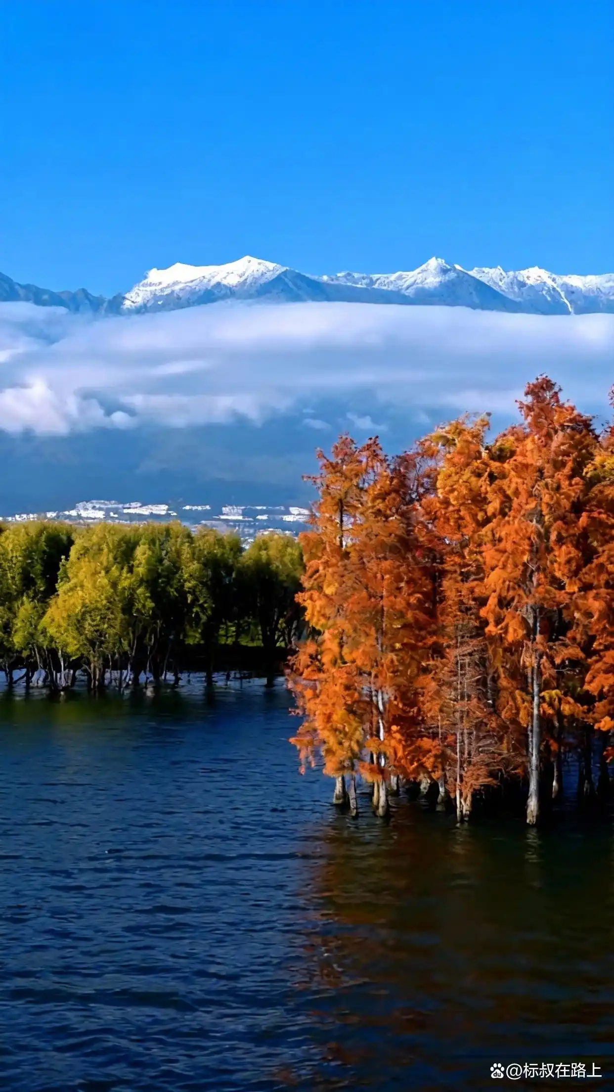 大理的冬天｜是海鸥、红杉和治愈的洱海！