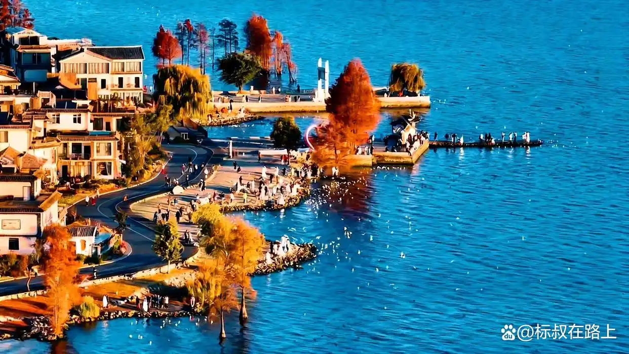 大理的冬天｜是海鸥、红杉和治愈的洱海！