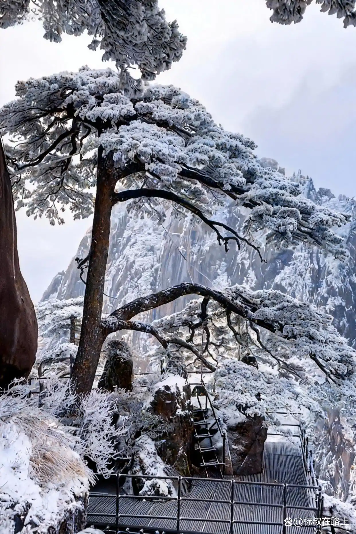 可惜你没来，不知道冬天的黄山有多浪漫️！