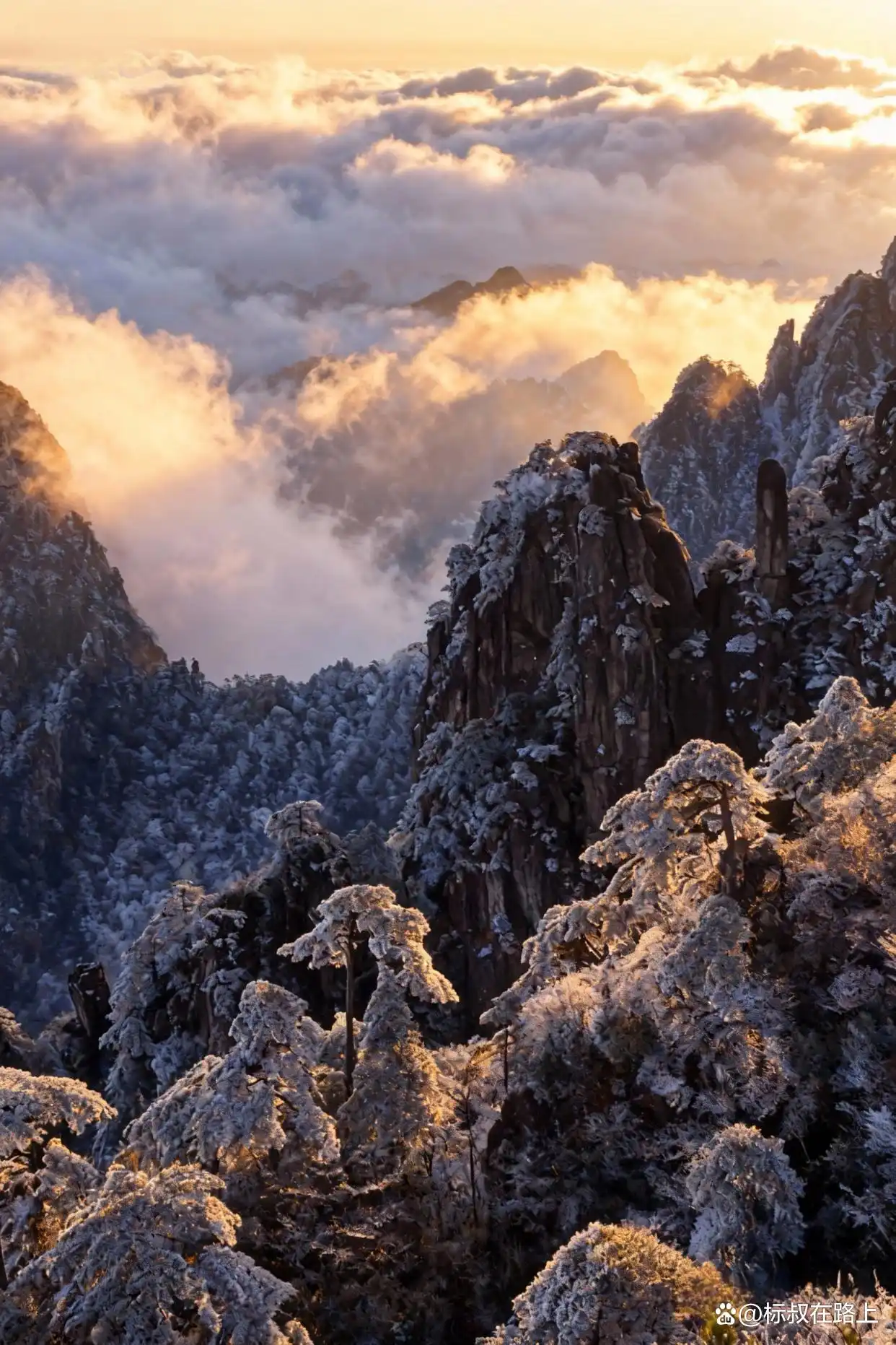 可惜你没来，不知道冬天的黄山有多浪漫️！