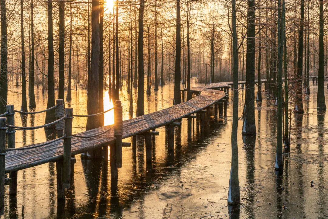 高铁不到20分钟！安徽这座被严重低估的小城，人少景美，松弛感满