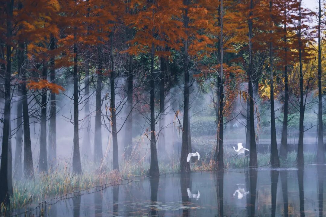 高铁不到20分钟！安徽这座被严重低估的小城，人少景美，松弛感满