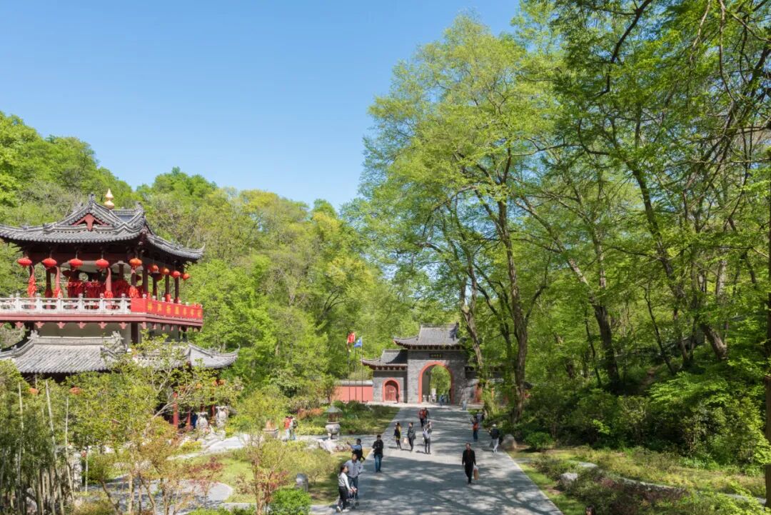 高铁不到20分钟！安徽这座被严重低估的小城，人少景美，松弛感满