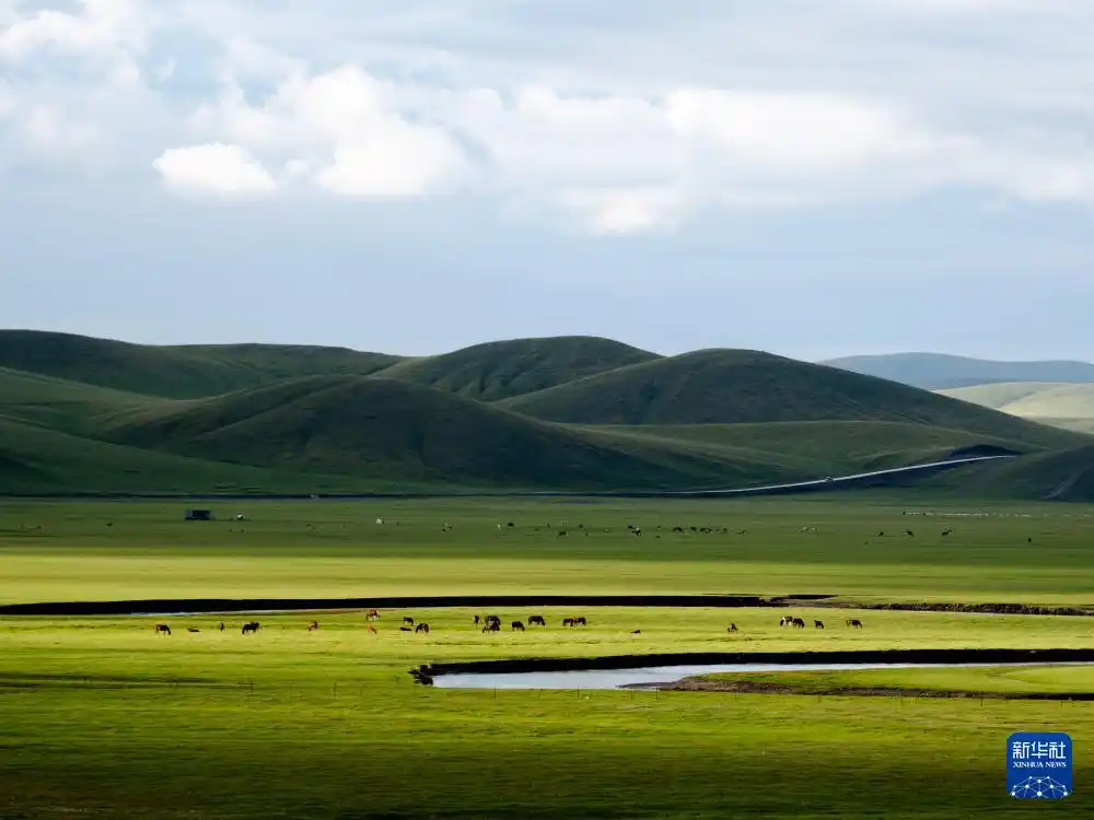 秋日呼伦贝尔大草原