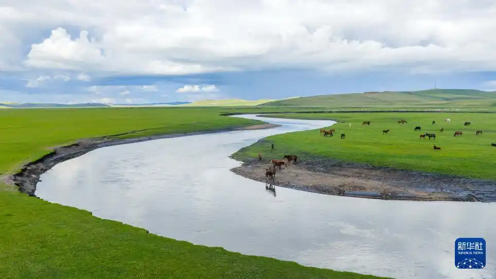 秋日呼伦贝尔大草原