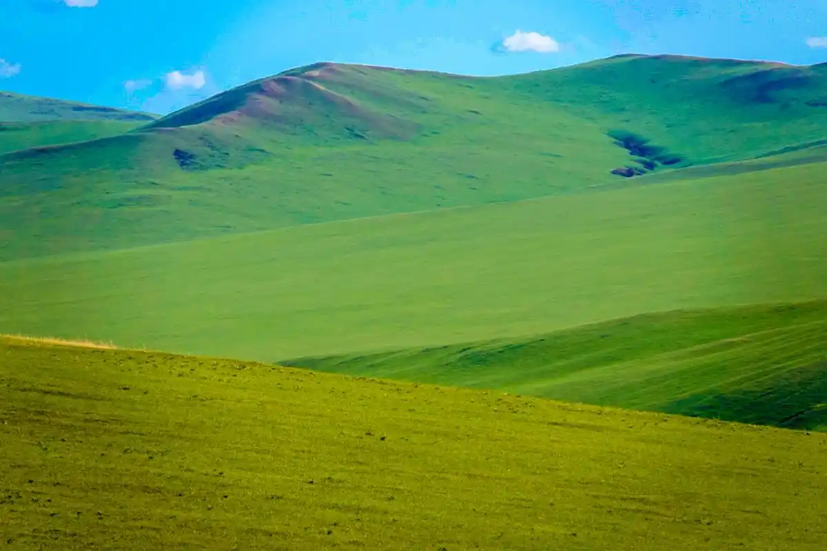 初夏呼伦贝尔草原