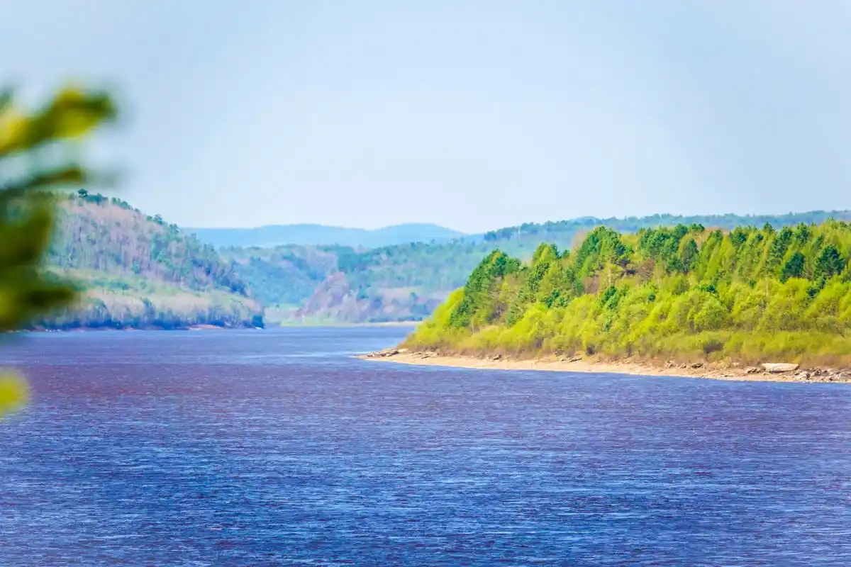 初夏呼伦贝尔草原