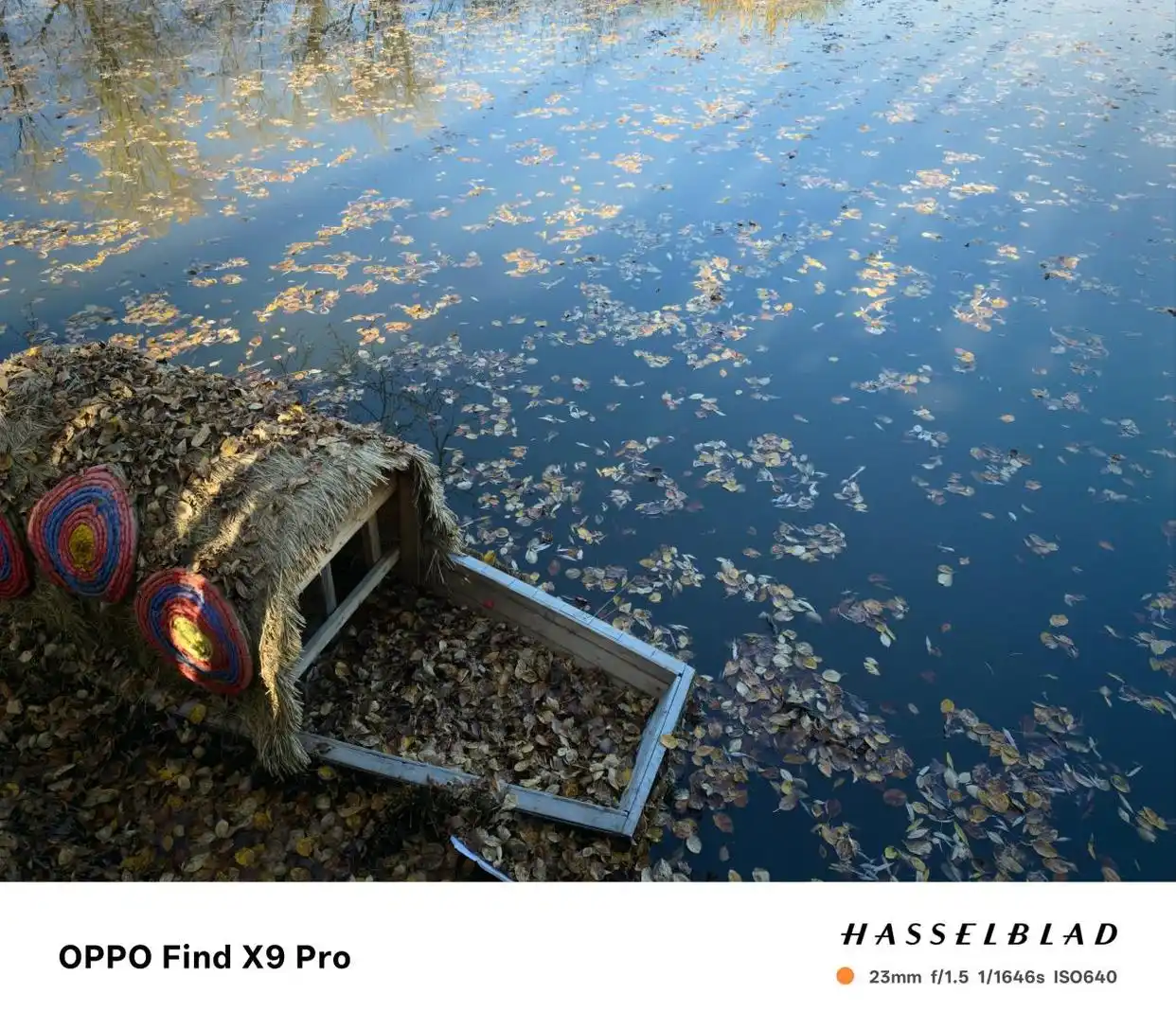 自驾游想“松弛”些？关键居然在手机！