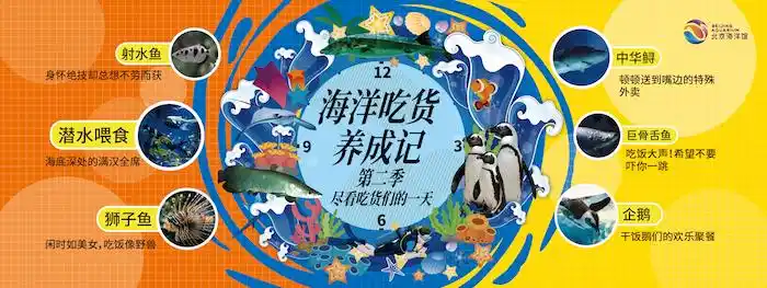 一周旅行指南｜上海前滩香格里拉即将开启菁英招募会，维京游轮复航将扩至百慕大、冰岛及英国航线