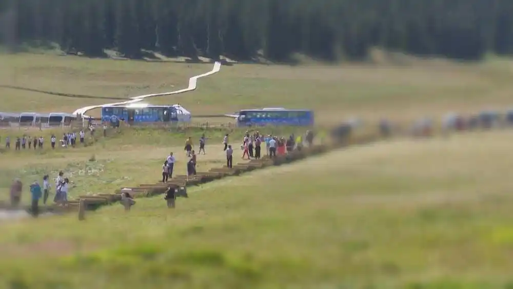 “跨年仪式感”带火元旦旅游，出境游半径再扩大