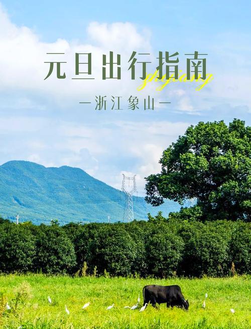 浙江元旦自驾哪些景点可以免费游玩