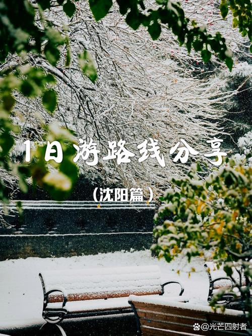 逃离游客圈，漫步灵魂栖息地：周末在沈阳，与这些文艺角落不期而遇