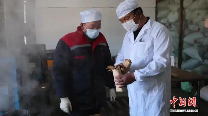 青藏高原第一块茶田：雪山脚下，茶园飘香