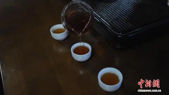 青藏高原第一块茶田：雪山脚下，茶园飘香